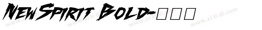 NewSpirit Bold字体转换